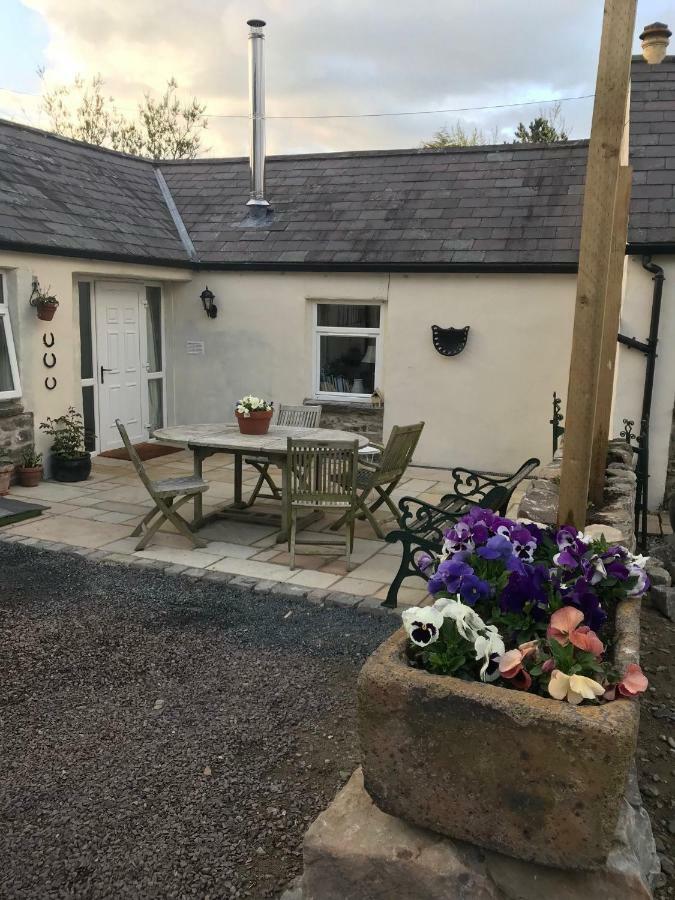 Tracey'S Farmhouse Cottage Belfast Exterior foto